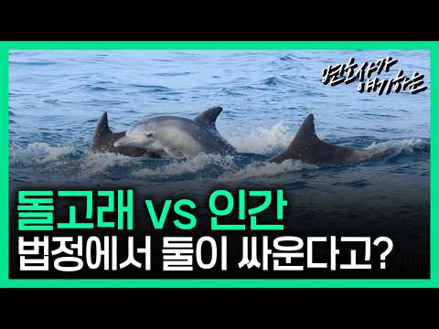 이게 어떻게 가능할까?